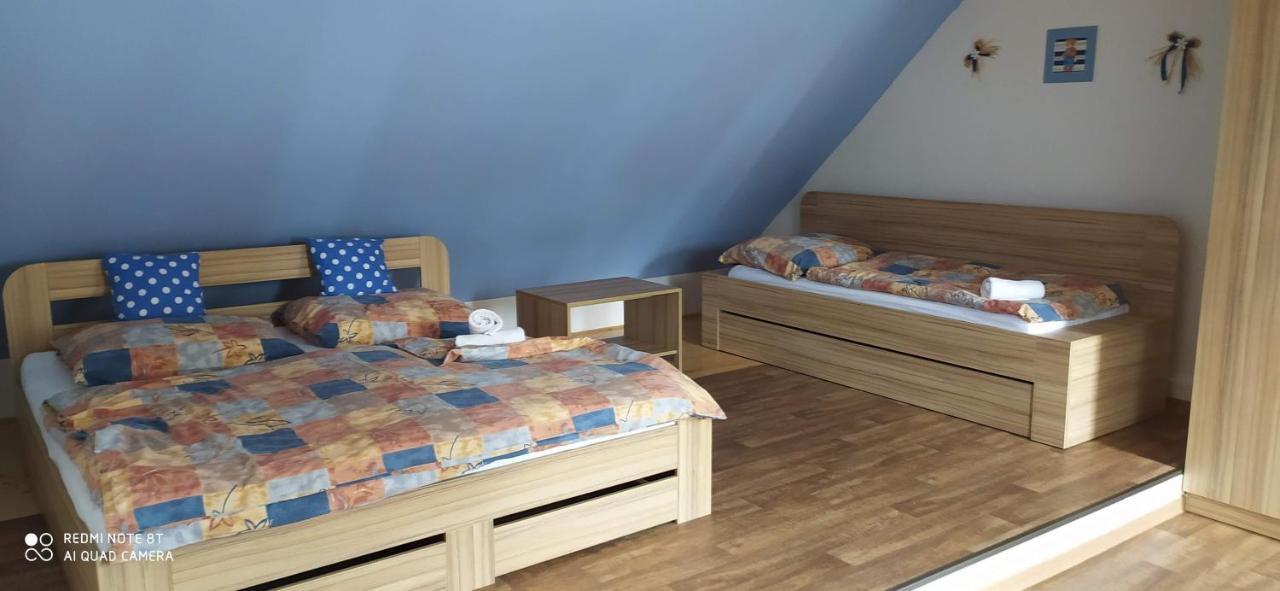 Apartmany Natalie Dvory nad Luznici エクステリア 写真