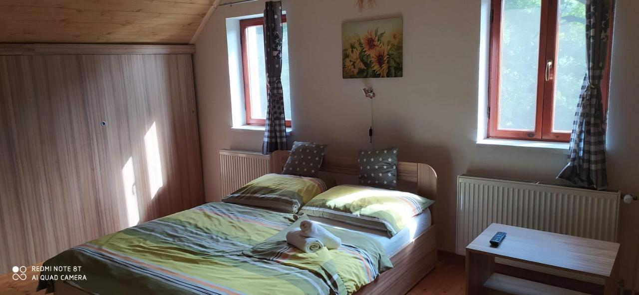 Apartmany Natalie Dvory nad Luznici エクステリア 写真