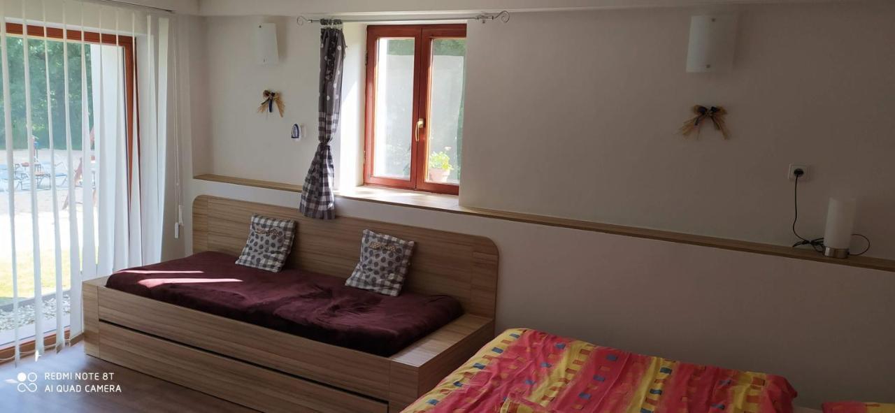 Apartmany Natalie Dvory nad Luznici エクステリア 写真