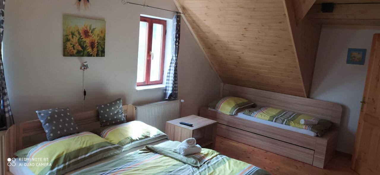Apartmany Natalie Dvory nad Luznici エクステリア 写真