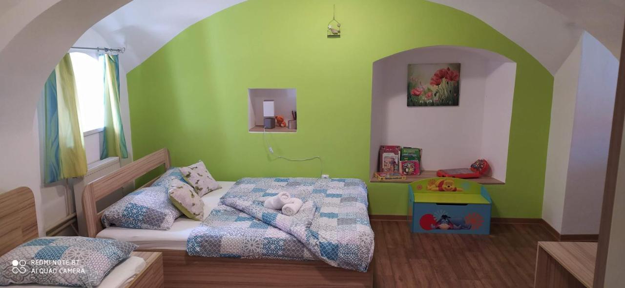 Apartmany Natalie Dvory nad Luznici エクステリア 写真