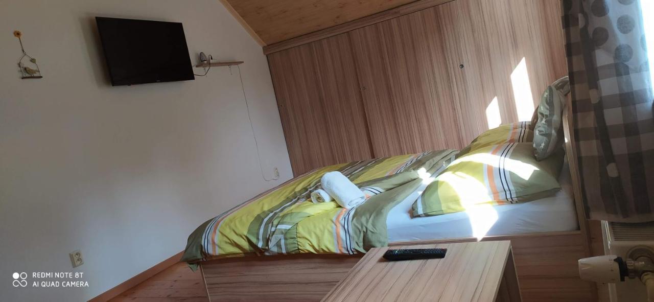 Apartmany Natalie Dvory nad Luznici エクステリア 写真