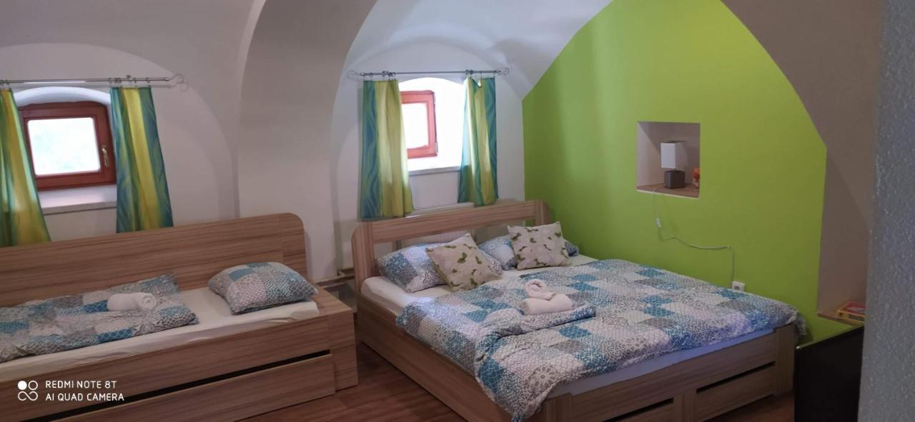 Apartmany Natalie Dvory nad Luznici エクステリア 写真