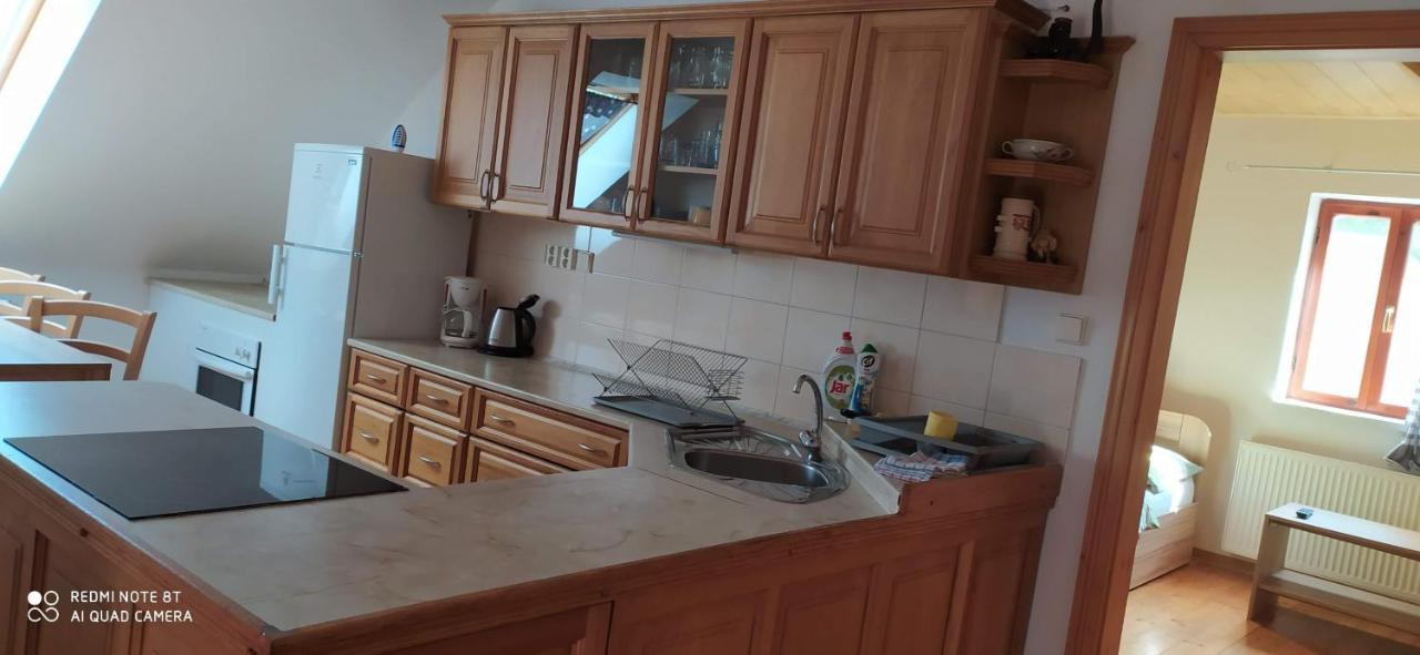 Apartmany Natalie Dvory nad Luznici エクステリア 写真