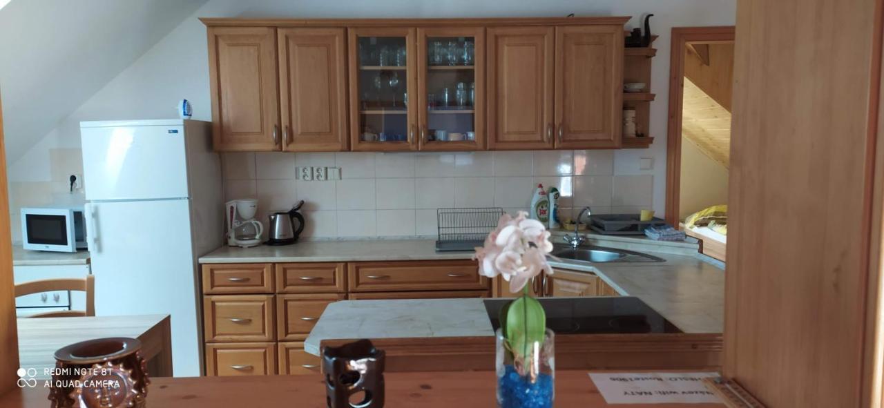 Apartmany Natalie Dvory nad Luznici エクステリア 写真